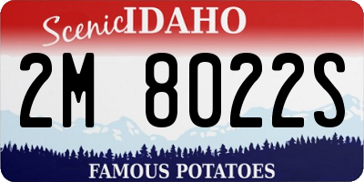 ID license plate 2M8022S