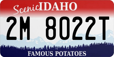 ID license plate 2M8022T
