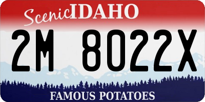 ID license plate 2M8022X