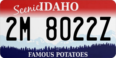 ID license plate 2M8022Z