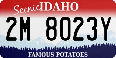 ID license plate 2M8023Y