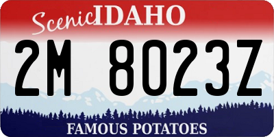 ID license plate 2M8023Z
