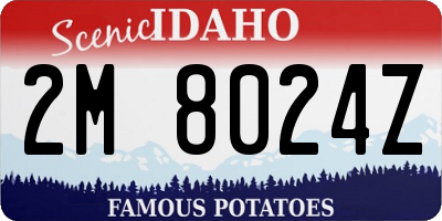 ID license plate 2M8024Z
