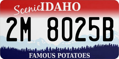 ID license plate 2M8025B