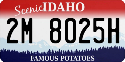 ID license plate 2M8025H