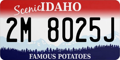 ID license plate 2M8025J