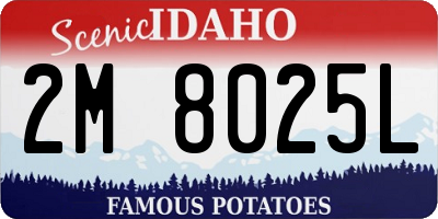 ID license plate 2M8025L