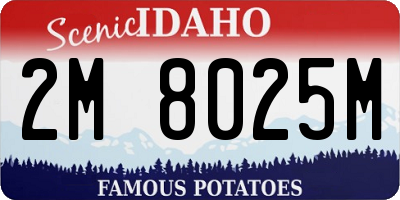 ID license plate 2M8025M