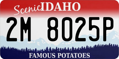 ID license plate 2M8025P