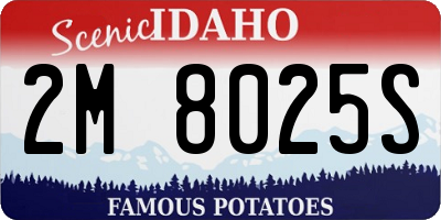 ID license plate 2M8025S