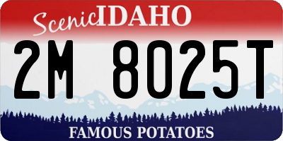 ID license plate 2M8025T
