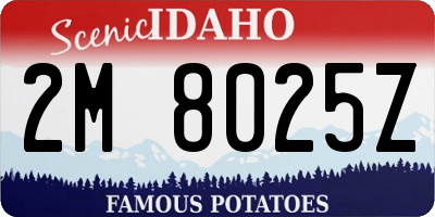 ID license plate 2M8025Z