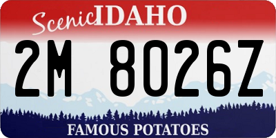 ID license plate 2M8026Z