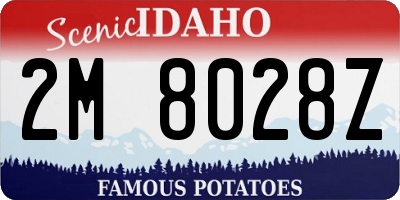 ID license plate 2M8028Z