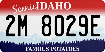 ID license plate 2M8029E