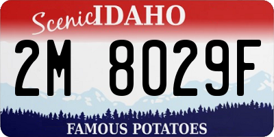 ID license plate 2M8029F