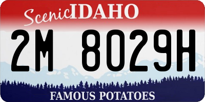 ID license plate 2M8029H