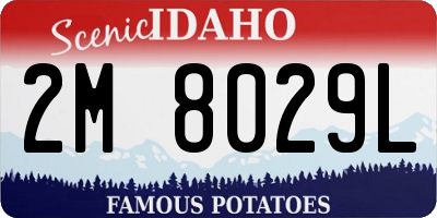 ID license plate 2M8029L