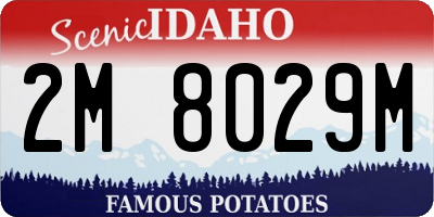 ID license plate 2M8029M