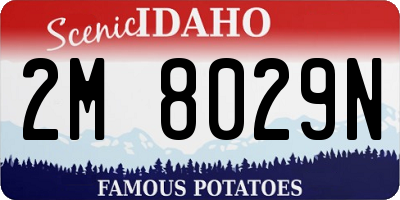 ID license plate 2M8029N