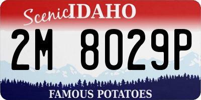 ID license plate 2M8029P