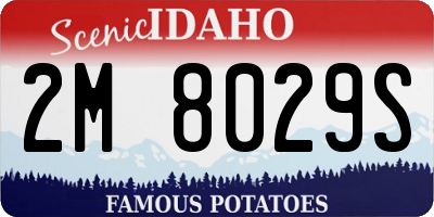 ID license plate 2M8029S