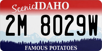 ID license plate 2M8029W