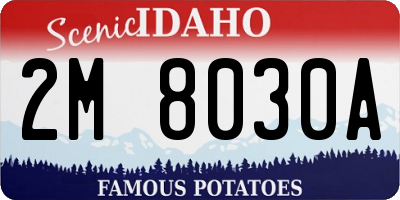 ID license plate 2M8030A