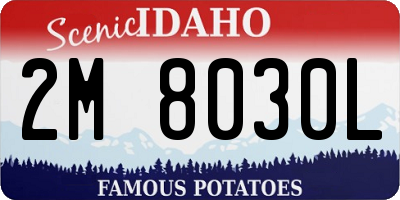 ID license plate 2M8030L