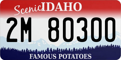 ID license plate 2M8030O
