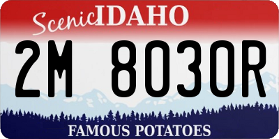 ID license plate 2M8030R