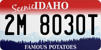 ID license plate 2M8030T