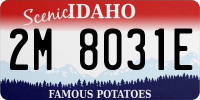 ID license plate 2M8031E
