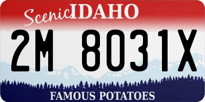 ID license plate 2M8031X
