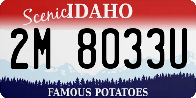 ID license plate 2M8033U