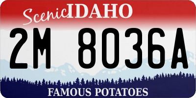 ID license plate 2M8036A