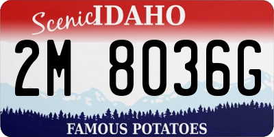 ID license plate 2M8036G