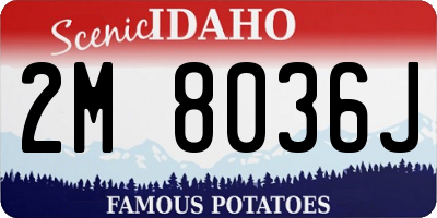 ID license plate 2M8036J