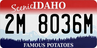ID license plate 2M8036M