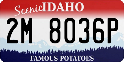 ID license plate 2M8036P