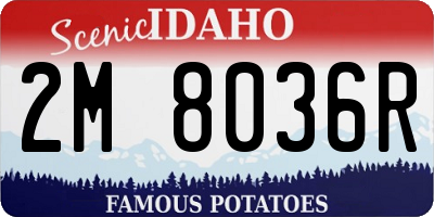 ID license plate 2M8036R