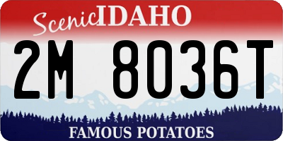 ID license plate 2M8036T