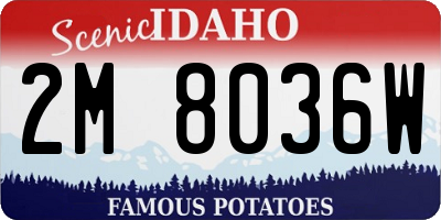 ID license plate 2M8036W