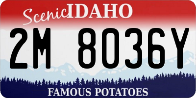 ID license plate 2M8036Y