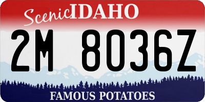 ID license plate 2M8036Z
