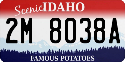 ID license plate 2M8038A