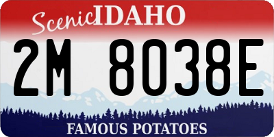 ID license plate 2M8038E