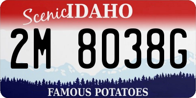 ID license plate 2M8038G