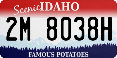 ID license plate 2M8038H
