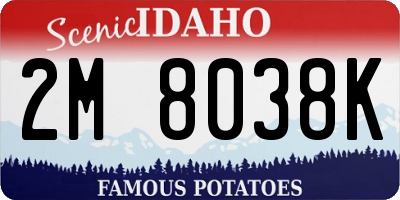 ID license plate 2M8038K